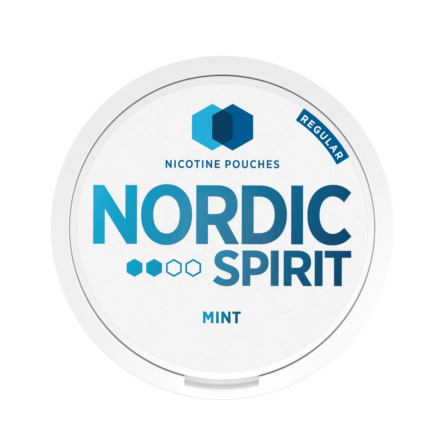Nordic Spirit Mint Nicotine Pouches (Pack of 5) Nordic