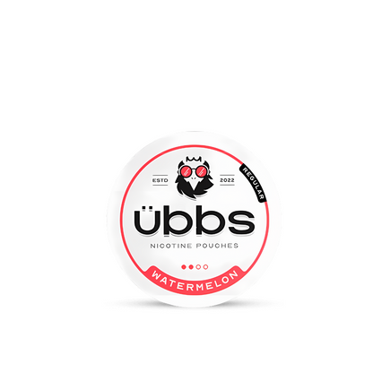 UBBS Regular Nic Pouches (Pack of 10)