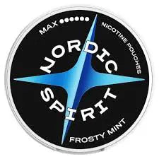 Nordic Spirit Frosty Mint Max Nicotine Pouches (Pack of 5)